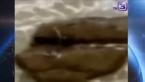 Русалку засняли на видео. Русалки существуют!