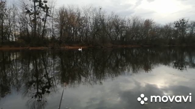 рыбалка на поплавочную удочку карась ловится ,последние дни осени смотреть онлайн