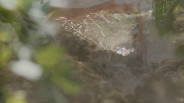 Шумринка Винодельня Тизер смотреть онлайн