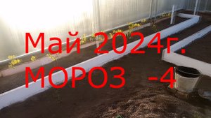 Май 2024г. мороз -4