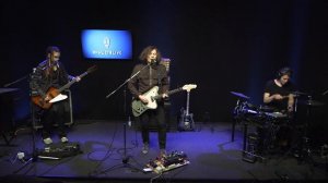 Адаптация пчёл // НАШЕТВLIVE // НАШЕ
