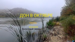 РЫБАЛКА НА ДОНУ В ОКТЯБРЕ!!!