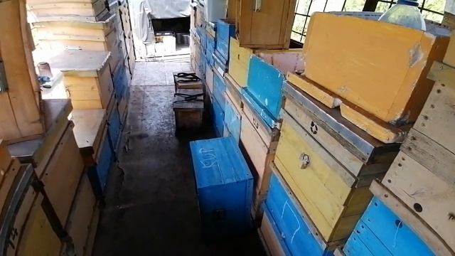 ВНИМАНИЕ !!! МОЛЬ !!! они уже есть !! смотреть онлайн