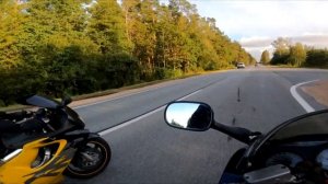 Honda VFR 750 vs CBR 600 F4