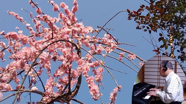 The Water Is Wide　広い河の岸辺 смотреть онлайн