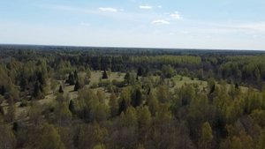 Покопушки в деревушке.