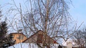 Пруд замерз! Аэрация пруда зимой в  -15°. Как работает Компрессор и Распылитель? Зимовка пруда