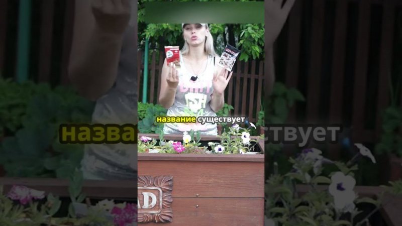 Выбор препарата для борьбы с муравьями