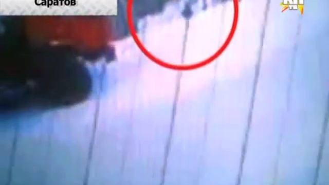 Бродячая псина украла сумку смотреть онлайн