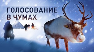 В чумах ЯНАО досрочно проголосовали на выборах президента России — видео