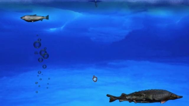 Nancy Drew 16 The White Wolf of Icicle Creek Part 5 Lunch, Fishing and 2nd Wolf Moment No Commentar смотреть онлайн