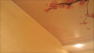 Двухуровневый натяжной потолок с Фотопечатью и точечной подсветкой в Спальне