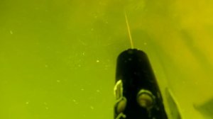 СОМ 23 КГ. ПОДВОДНАЯ ОХОТА. БАЛАКЛЕЯ, СЕВЕРСКИЙ ДОНЕЦ.