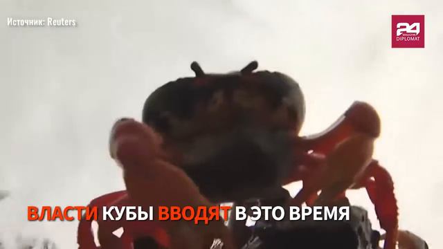 НАШЕСТВИЕ КРАБОВ НА КУБЕ