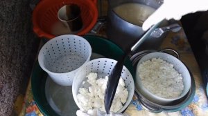 сыр Халуми с мятой и прованскими травами