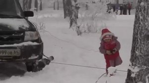 Подвесная лебёдка "ДОБРЫНЯ"