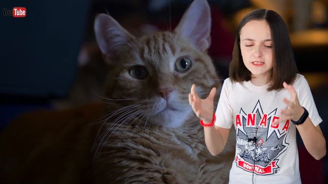 10 САМЫХ СТРАННЫХ ФАКТОВ О КОШКАХ! смотреть онлайн