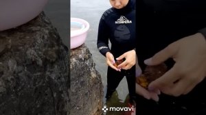 чистка морского ежа