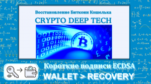 Восстановление Биткоин Кошелька через короткие подписи ECDSA