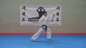 3. 7-й Гуп. До-Сан Туль / Do-San Tul (Pattern) - Taekwon-Do ITF. Shamanin Club (Russia).