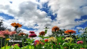 Облака таймлапс лето - Красота! Снято на MEIZU NOTE9