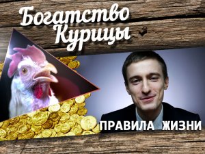 Богатство Курицы: Правила жизни. Стартапер vs. буддист