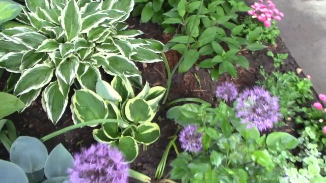 Изумительно красивая весна 2021..mp4 смотреть онлайн