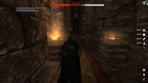 SKYRIM - прохождение с модами DarkSouls и тд [HARCORE] [Days 8]