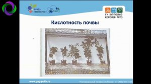 Фертигация плантации жимолости. Лукьянченко А. Как собрать 10 тонн жимолости с плантации 1 гектар?
