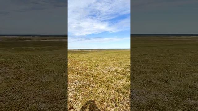 Примеряю на себе новую профессию — маркшейдер! #shorts смотреть онлайн