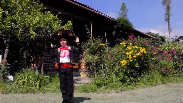 Corriente y canelo - Elton Julca - Talento de mi tierra kids MPC - EVH смотреть онлайн