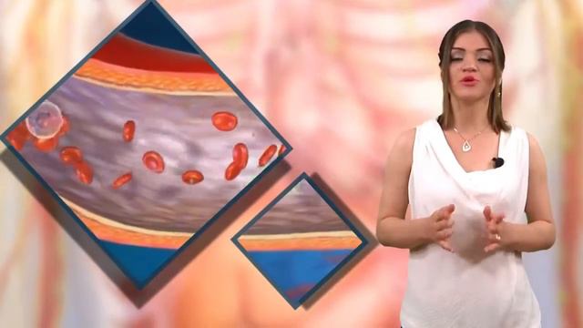 САМАЯ БОЛЬШАЯ СЕТЬ ДОСТАВКИ НА ЗЕМЛЕ КРОВЕНОСНАЯ СИСТЕМА смотреть онлайн