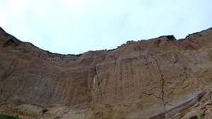 Деревня Творогово, Емельяновский район, Красноярский край.