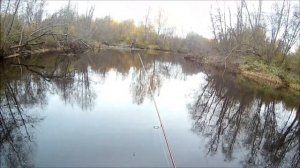 В Тихом Омуте Щуки Водятся. Осенняя Пора!