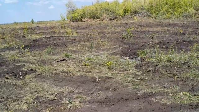 Кировец+ Нож карчевка леса смотреть онлайн