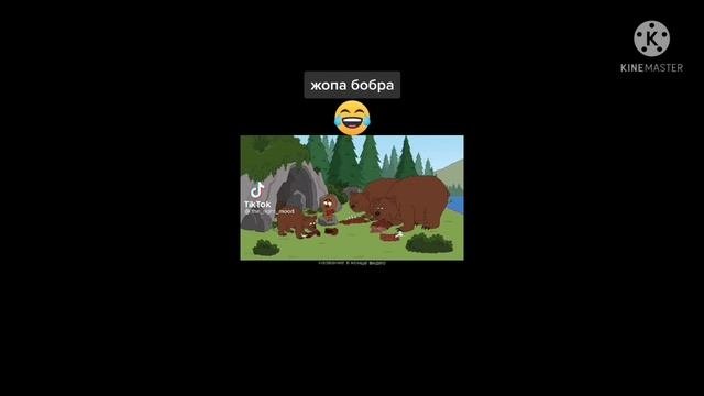 смешные видео