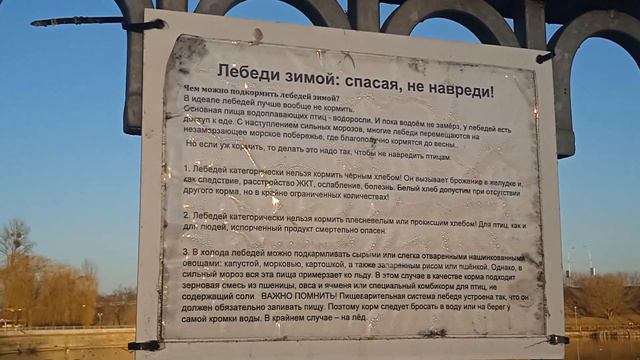 14.03.2022 Brest Belarus ..Чем можно кормить птиц!!!!.Walks with Victoria ПОДПИСЫВАЙТЕСЬ НА МОЙ ЮТУ смотреть онлайн