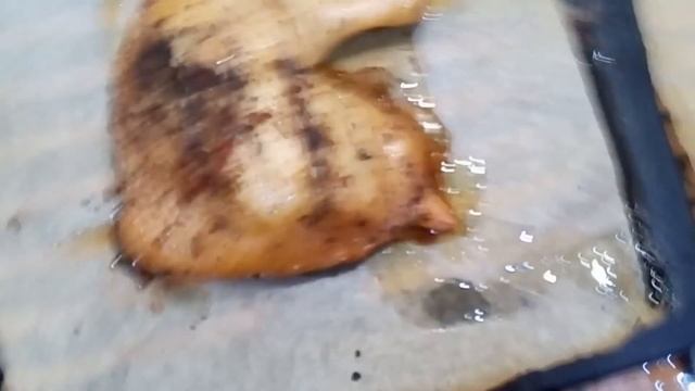 Горячее копчение рыбы и мяса в самодельной электрокоптильни