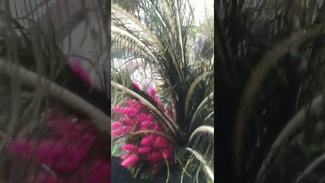 Шедевры мирового уровня!Прошу.Удар по критикам. смотреть онлайн