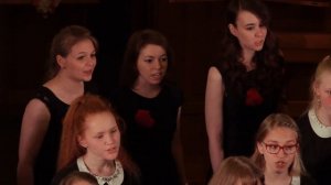 Птица музыка