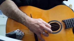 Playing a Richwood RM 70 NT - Davide Petrocca on Guitar. ( Gonzalo Bergara - Donna Lee )