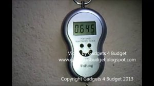 Portable Electronic Scale