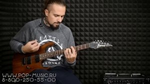 Электрогитара IBANEZ RG421