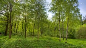 Зима Весна Лето Осень - все за 40 секунд!