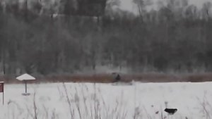 Гусеничный вездеход по снегу