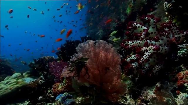 Клип к песне "Оглянись вокруг"- Карина Кубрина смотреть онлайн