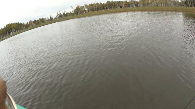 Рыбалка на Валдайских озерах. оз. Березай