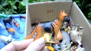 Обзор В МИРЕ ЖИВОТНЫХ. Коробка с игрушками.