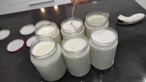 ATTENTION! I am giving you the secret of STONE YOGURT that does not spoil for months, yoghurt recip
