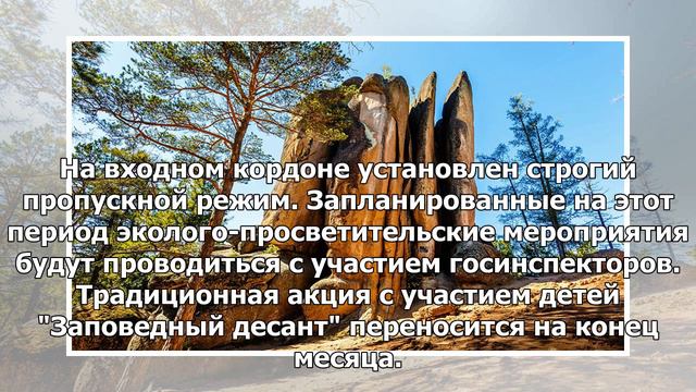 Красноярский заповедник "Столбы" закрывают из-за разгулявшихся медведей